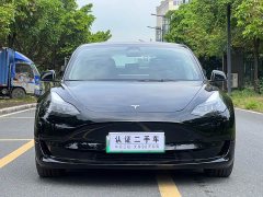 Tesla Model 3 Standard Range Edition 3D1 - фото 2