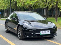 Tesla Model 3 Standard Range Edition 3D1 - фото 3