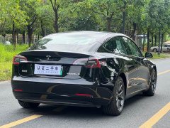 Tesla Model 3 Standard Range Edition 3D1 - фото 9