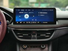 Lexus Ruiji 2020 EcoBoost 245 four-wheel drive luxury ST-LINE - фото 12