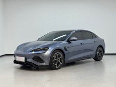 BYD 700km Long Range Edition - фото 1