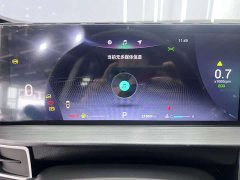 Chery 7 PLUS 1.5T CVTLuxury Version - фото 11