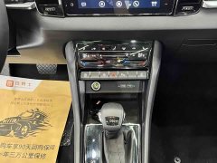 Haval TSI280 Edition - фото 12
