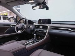 Lexus RX 300 2WD Edition - фото 10