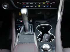 Lexus RX 300 2WD Edition - фото 14