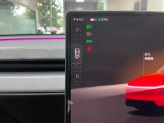Tesla Model Y Long Range Edition - фото 17