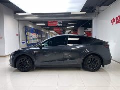 Tesla Model Y Long Range Edition - фото 4