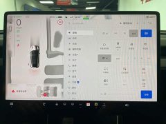 Tesla Model Y Edition - фото 10