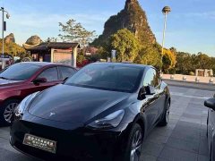 Tesla Model Y Edition - фото 1