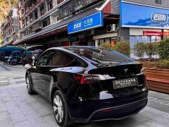 Tesla Model Y Edition - фото 3
