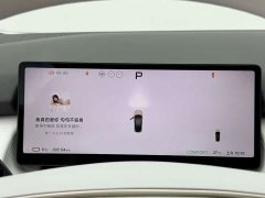 Xpeng P7 Long Range Max - фото 14