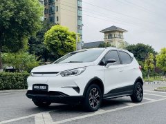 BYD Pro Edition - фото 1