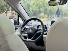 BYD Pro Edition - фото 17