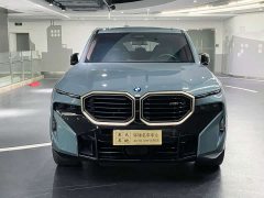BMW XM 50e - фото 2
