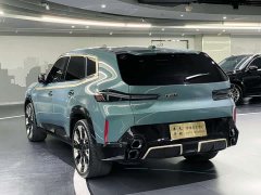 BMW XM 50e - фото 20