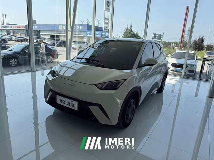 BYD 305km Edition - автомобиль из Китая