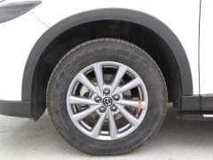BYD CX-5 2.0L 2WD Version - фото 15