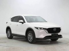 BYD CX-5 2.0L 2WD Version - фото 3