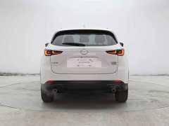 BYD CX-5 2.0L 2WD Version - фото 5