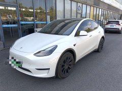 Tesla Model Y Long Range Edition - фото 1