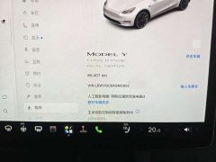 Tesla Model Y Long Range Edition - фото 7