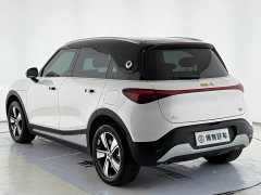 smart#1 Edition - фото 11