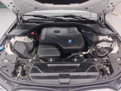 BMW 3 320Li M - фото 17