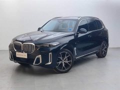 BMW X5 xDrive 30Li Deluxe VersionM - фото 1