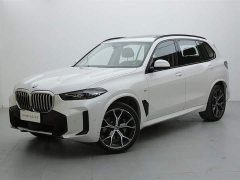 BMW X5 xDrive 30Li Deluxe VersionM - фото 1