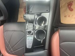Chery PLUS NE 1.4T GDI DCTPremium Edition - фото 7