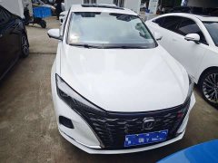 Chery PLUS NE 1.4T GDI DCTFlagship Version - фото 2