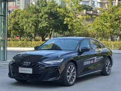 Audi A6L 2.0T Deluxe Version - фото 1