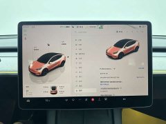 Tesla Model Y Edition - фото 19
