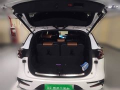 BYD DM 2.0T AWDPerformance EditionFlagship Version - фото 16