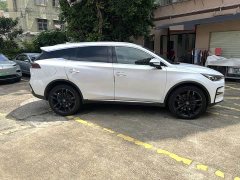 BYD DM 2.0T AWDPerformance EditionFlagship Version - фото 5