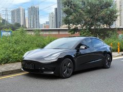 Tesla Model 3 Edition - фото 1