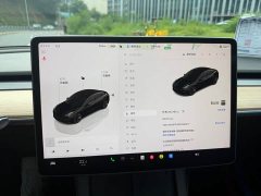 Tesla Model 3 Edition - фото 10