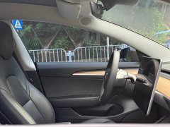 Tesla Model 3 Edition - фото 11