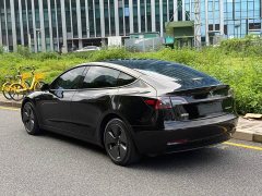 Tesla Model 3 Edition - фото 14