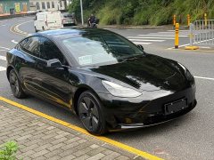 Tesla Model 3 Edition - фото 3