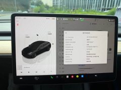 Tesla Model 3 Edition - фото 9
