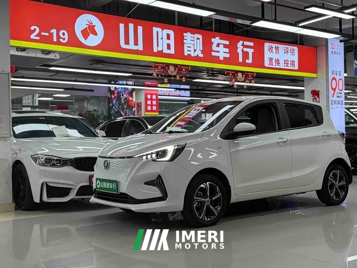 BYD E-Star Edition - автомобиль из Китая