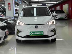 BYD E-Star Edition - фото 2