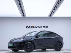 Tesla Model Y Edition - фото 1