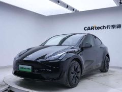 Tesla Model Y Edition - фото 10