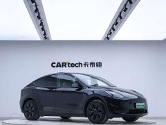 Tesla Model Y Edition - фото 4