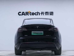 Tesla Model Y Edition - фото 5