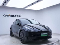 Tesla Model Y Edition - фото 6