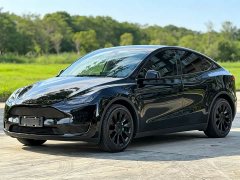 Tesla Model Y Long Range Edition - фото 1