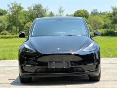 Tesla Model Y Long Range Edition - фото 2